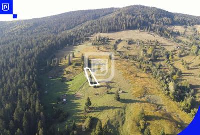 Teren Construcții extravilan de 3197 mp, în Vest - 7
