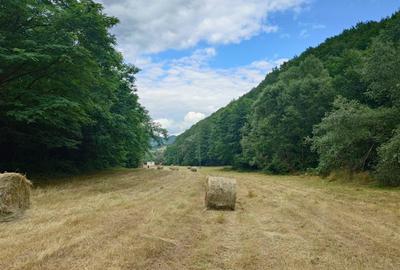 Teren intravilan de 5800 mp, în Podele