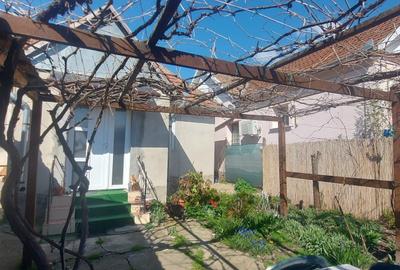 Casă cu 3 camere în Biharia