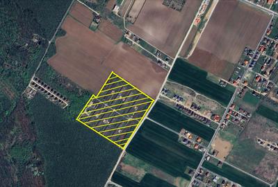 Teren agricol intravilan de 64032 mp, în Dragomirești-Deal - 1