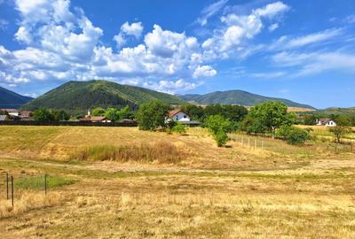 Teren extravilan de 1257 mp, în Gura Râului