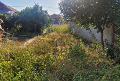 Teren Construcții intravilan de 514 mp, în Palazu Mare - 8