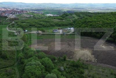 Teren de 15100 mp, în Central - 6