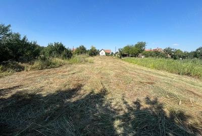 Teren de 1054 mp, în Diosig