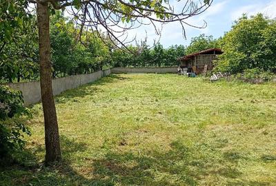 Casă cu 2 camere cu Teren 3500 Mp în Central