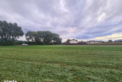 Teren de 977 mp, în Stupini