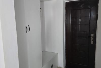 Garsonieră în Brazda lui Novac