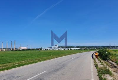 Teren Construcții intravilan de 25835 mp, în Exterior Sud - 3