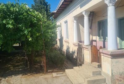 Casă cu 7 camere cu Teren 2424 Mp în Coteana - 6