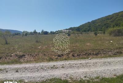 Teren de 2900 mp, în Viișoara