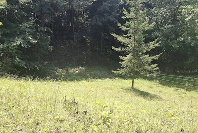 Teren de 579 mp, în Nistorești