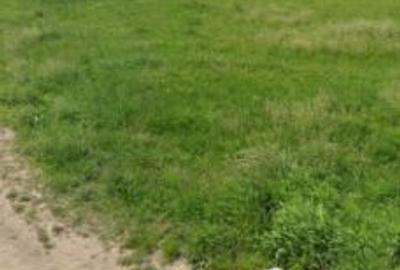 Teren intravilan de 5800 mp, în Iosia-Nord - 2