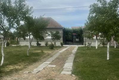 Casă cu 4 camere în Gurba - 1