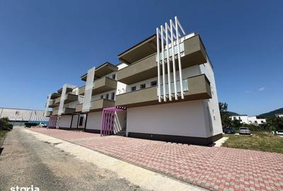 Apartament cu 2 camere în Valea Borcutului