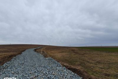 Teren de 590000 mp, în Saraiu
