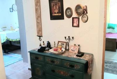 Casă cu 4 camere cu Teren 790 Mp în Plopșoru - 9