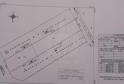 Teren Construcții intravilan de 4980 mp, în Central - 7