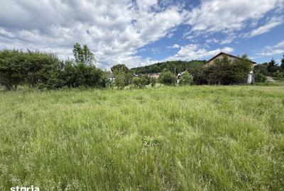 Teren de 1200 mp, în Provița de Sus - 13