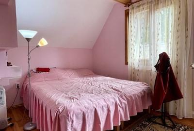 Casă cu 4 camere cu Teren 2985 Mp în Tarcău - 9