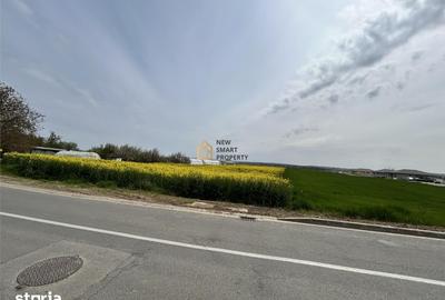 Teren de 8632 mp, în Podgoria