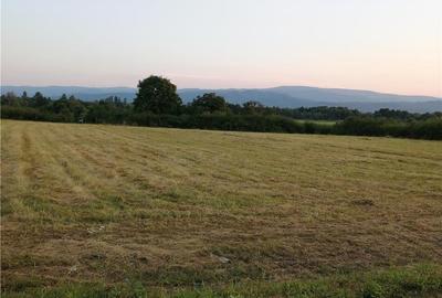 Teren de 18500 mp, în Central - 4
