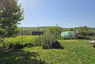 Casă individuală cu 5 camere cu Canalizare în Traian - 18