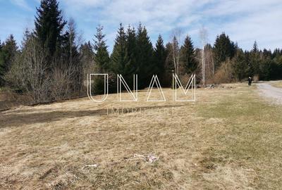 Teren de 2172 mp, în Gărâna - 13