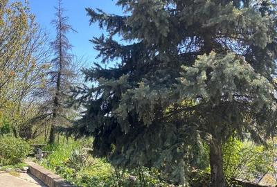 Casă cu 5 camere cu Teren 2250 Mp în Central - 1