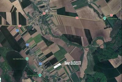 Teren de 10000 mp, în Făurei - 4