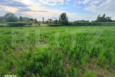 Teren de 1200 mp, în Stupini - 2