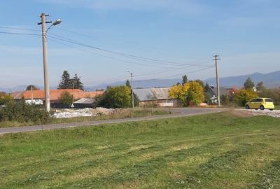 Teren extravilan de 9200 mp, în Băile Miercurea - 3