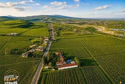 Teren de 4000 mp, în Vârteșcoiu