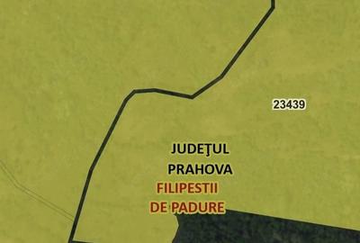 Teren de 110155 mp, în Filipeștii de Pădure
