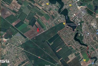 Teren de 4960 mp, în Buftea