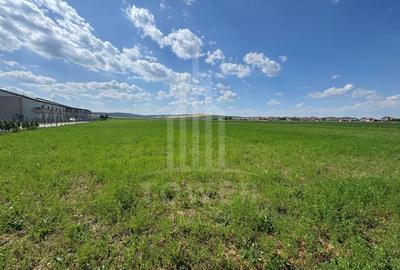 Teren agricol intravilan de 10000 mp, în Șura Mică - 5