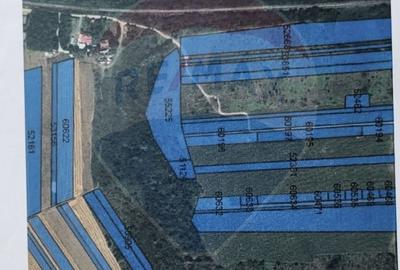Teren de 12853 mp, în Periș - 3