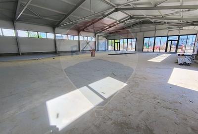 Spațiu industrial, de 200 mp, în Cernica - 10
