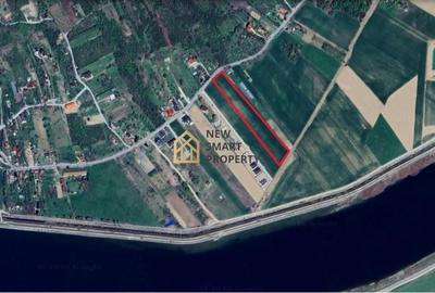 Teren de 8632 mp, în Podgoria