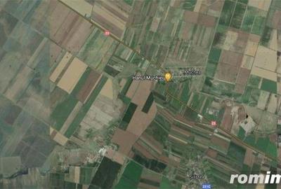 Teren de 400000 mp, în Siliștea