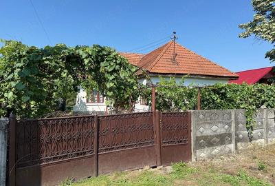 Casă cu 4 camere cu Teren 1900 Mp în Telești - 1