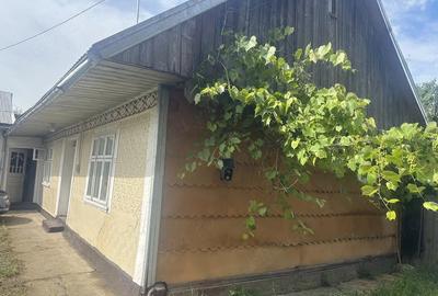Casă cu Teren 5600 Mp în Negostina