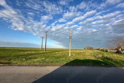 Teren de 200000 mp, în Călacea