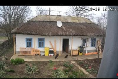 Casă individuală cu 4 camere cu Teren 4600 Mp în Chilia Veche - 3