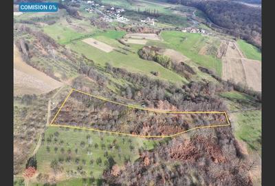 Teren Construcții intravilan de 5578 mp, în Groși - 1
