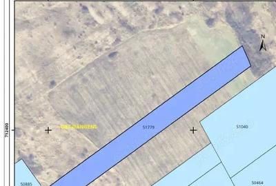 Teren de 46500 mp, în Dângeni - 1