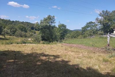 Teren de 4630 mp, în Ciucea - 1