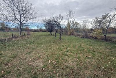 Teren Construcții intravilan de 2331 mp, în Brebu Megieșesc - 9