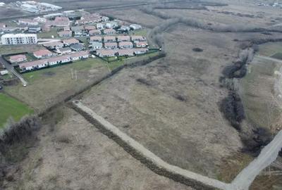 Teren de 5000 mp, în Albina - 1