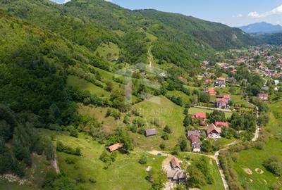 Teren Construcții intravilan de 11381 mp, în Moieciu - 8