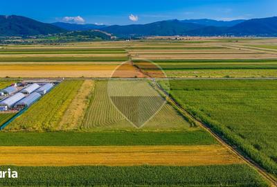 Teren de 7500 mp, în Tărlungeni